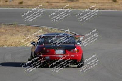 media/Nov-19-2023-Extreme Speed (Sun) [[bd0eec5490]]/Red/Back Shots/